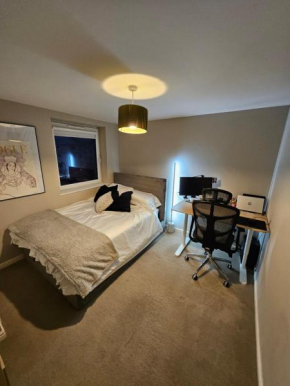 Modern Flat near Haymarket